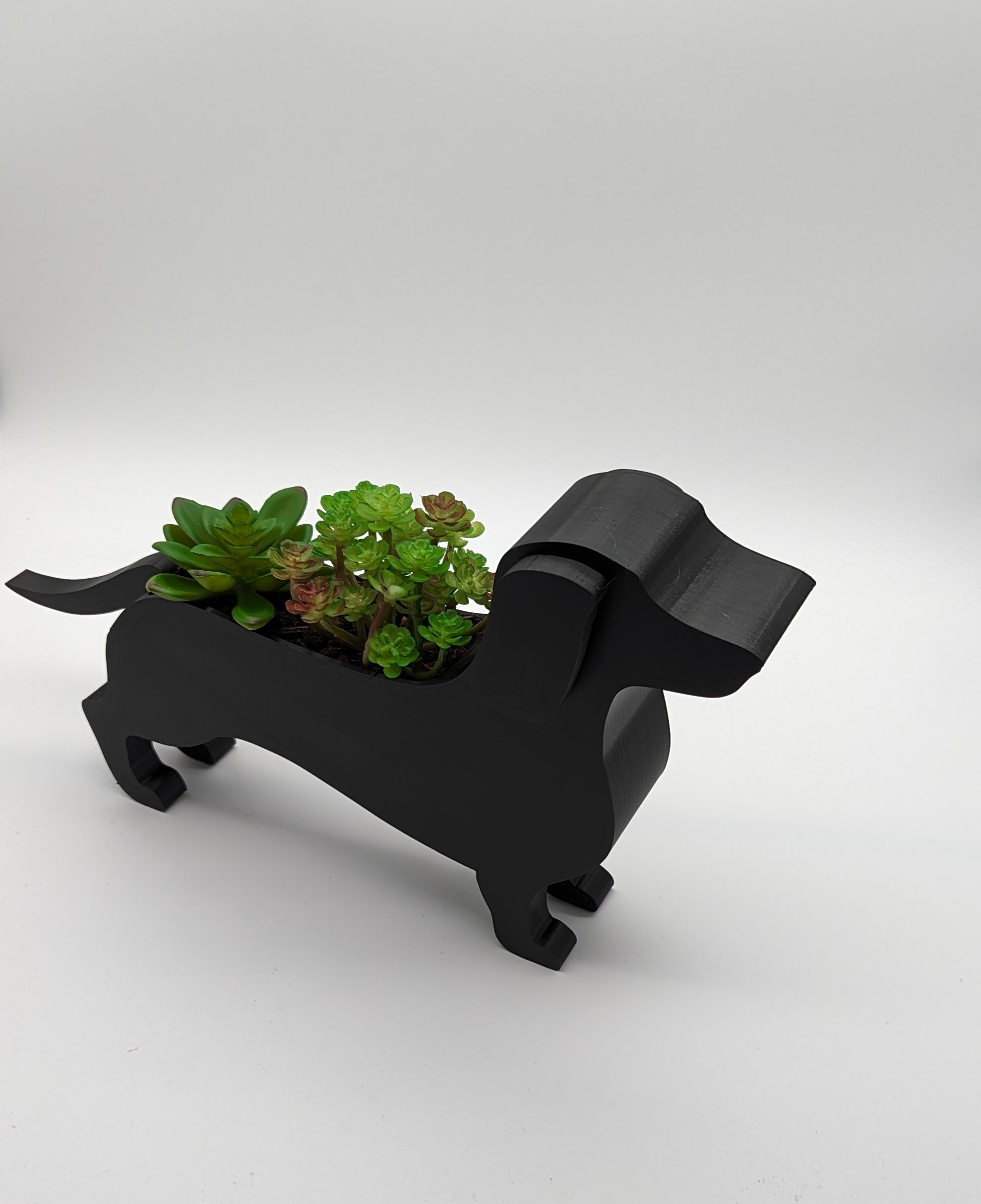 Unique Dachshund Planter Pot - Image 4