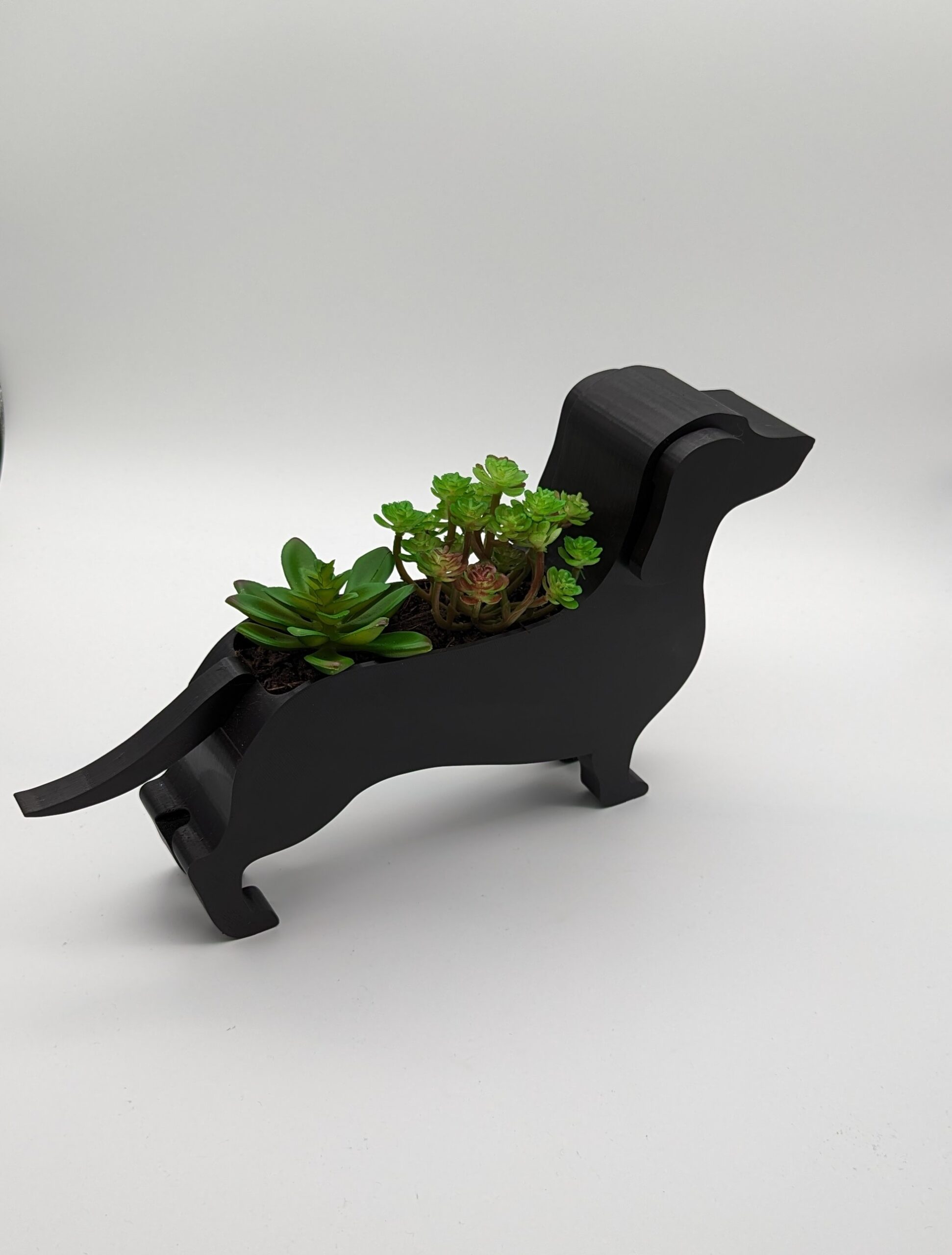 Unique Dachshund Planter Pot - Image 3