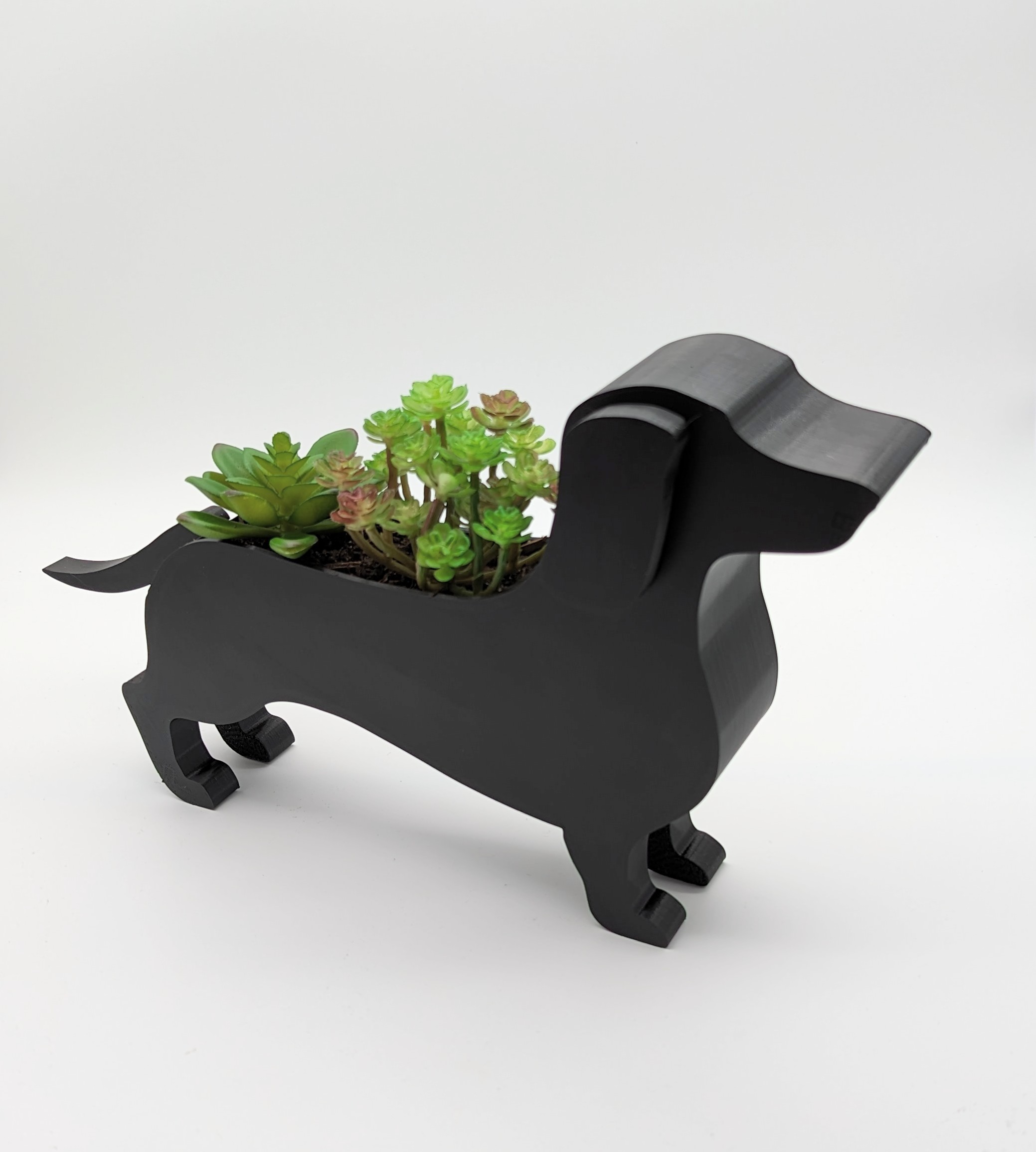 Unique Dachshund Planter Pot